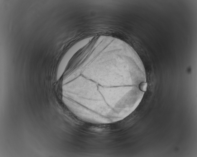 X0000115800563200912241855