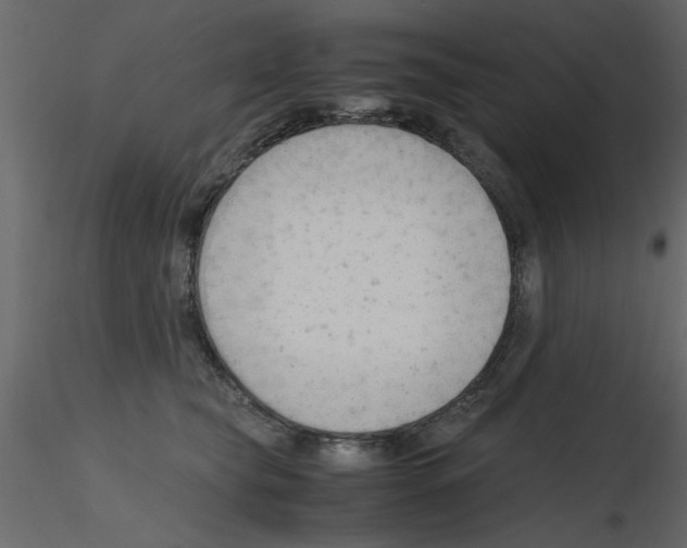 X0000115800565200912241855