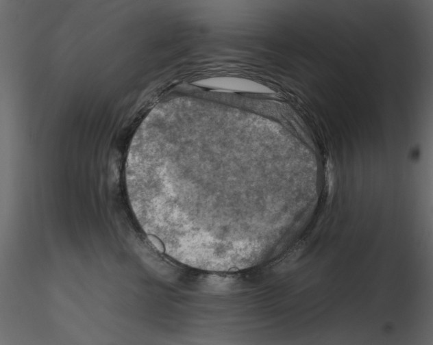 X0000115800570200912241855