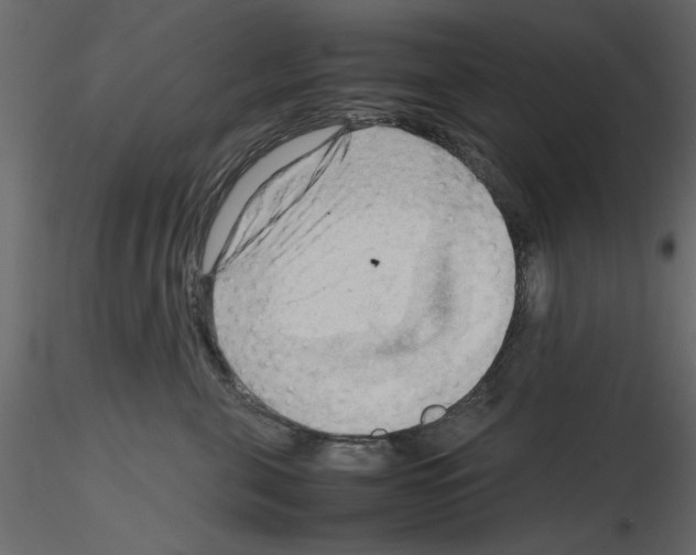 X0000115800571200912241855