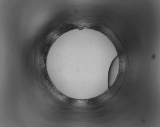 X0000115800573200912241855