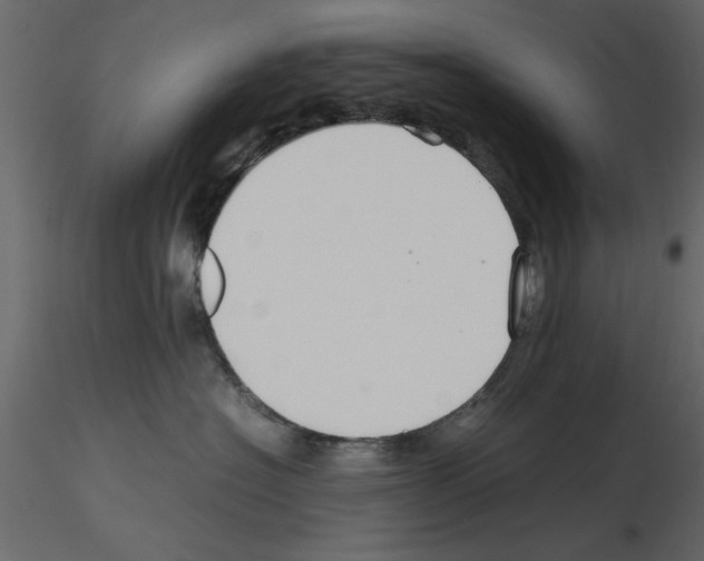 X0000115800574200912241855