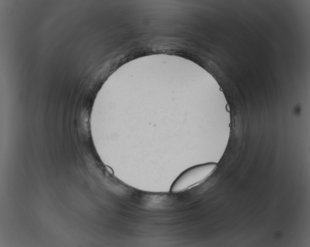 X0000115800575200912241855