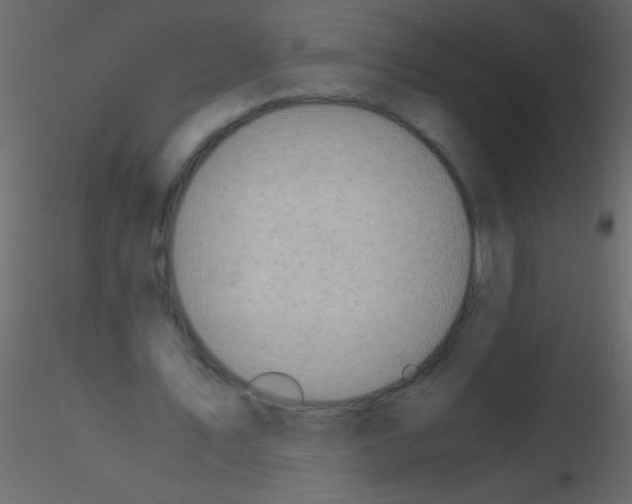 X0000115800579200912241855