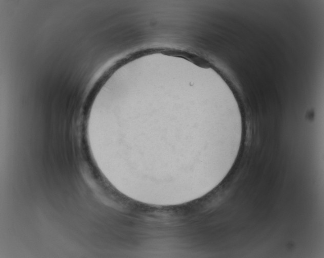 X0000115800580200912241855