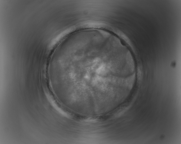 X0000115800581200912241855