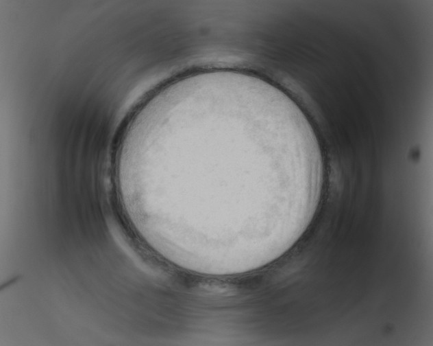 X0000115800582200912241855