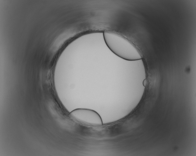 X0000115800583200912241855