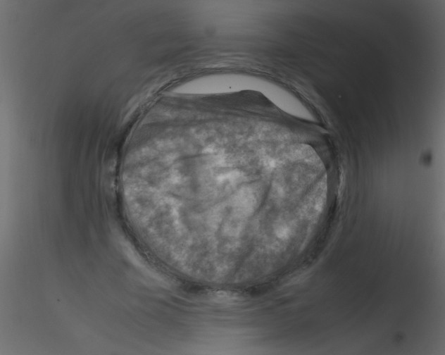 X0000115800585200912241855