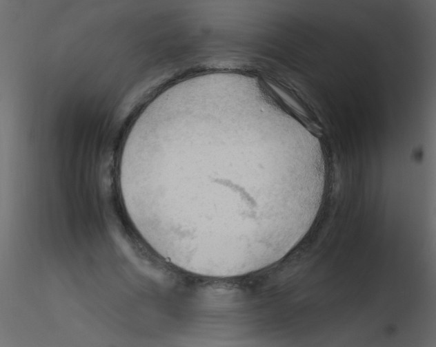 X0000115800586200912241855