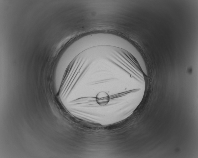 X0000115800587200912241855