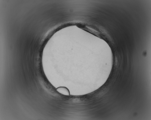 X0000115800588200912241855