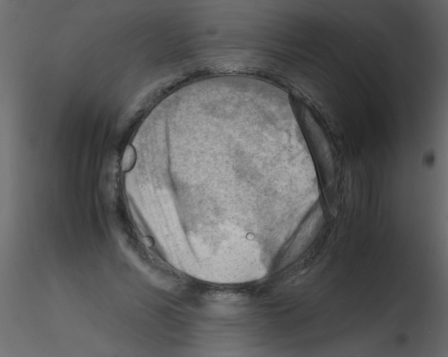 X0000115800590200912241855