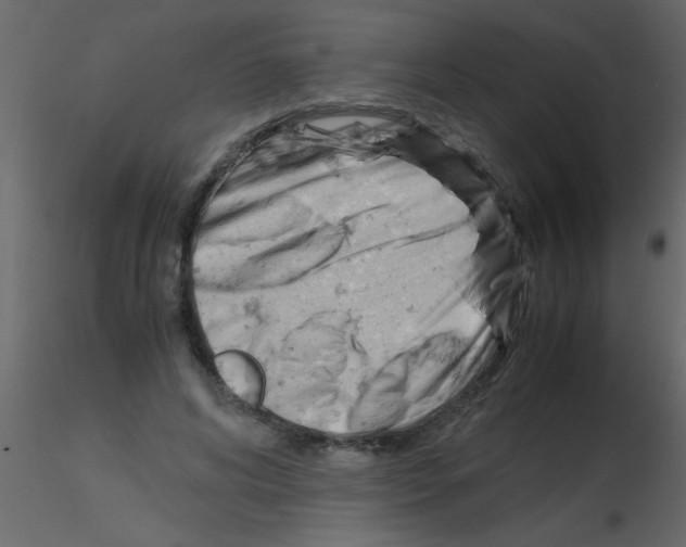 X0000115800592200912241855