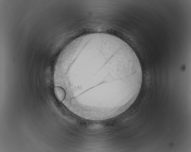 X0000115800594200912241854