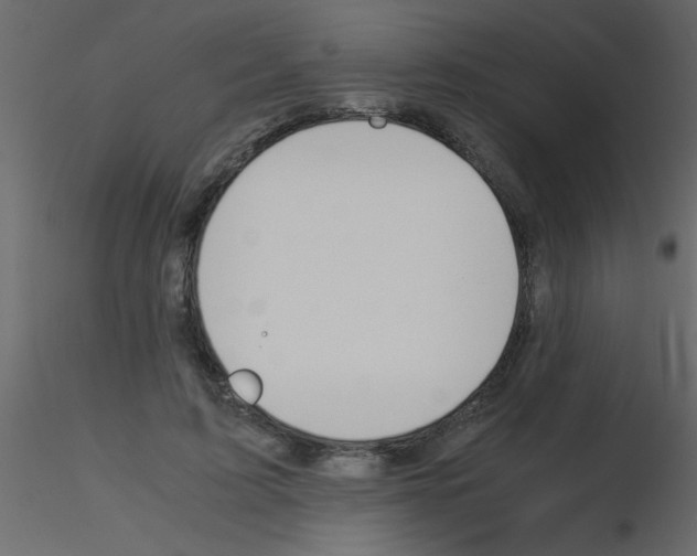 X0000115800595200912241854