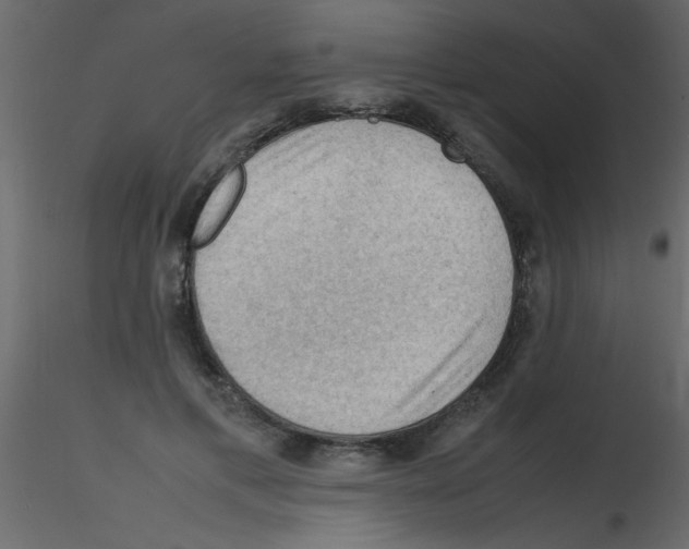 X0000115800597200912241854