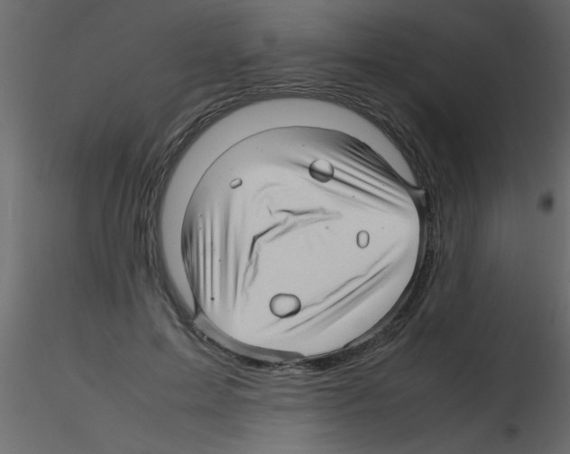 X0000115800599200912241854