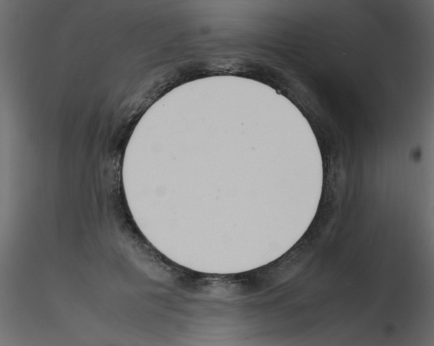 X0000115800601200912241854