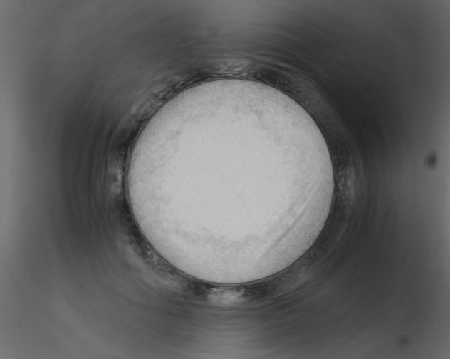 X0000115800602200912241854