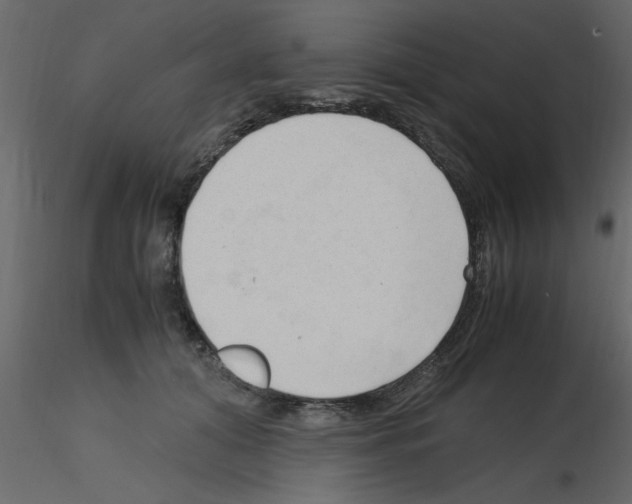 X0000115800608200912241854