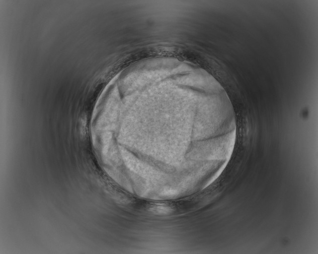 X0000115800610200912241854