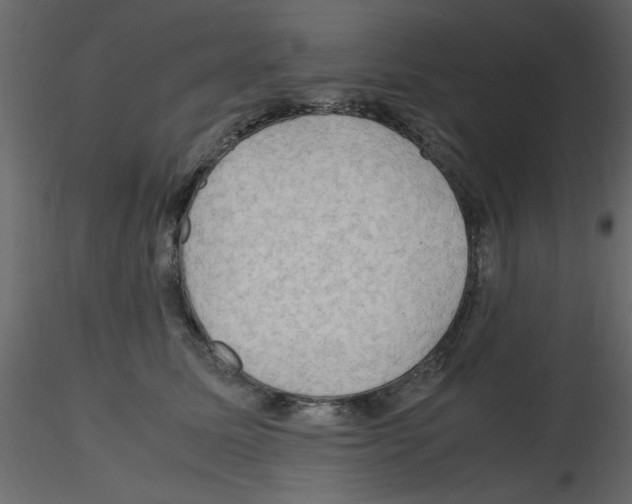 X0000115800611200912241854