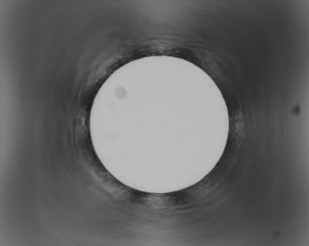 X0000115800615200912241854