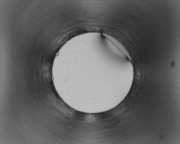 X0000115800616200912241854