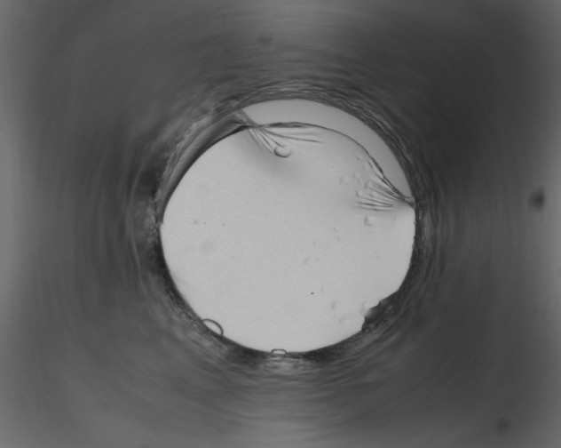 X0000115800617200912241854