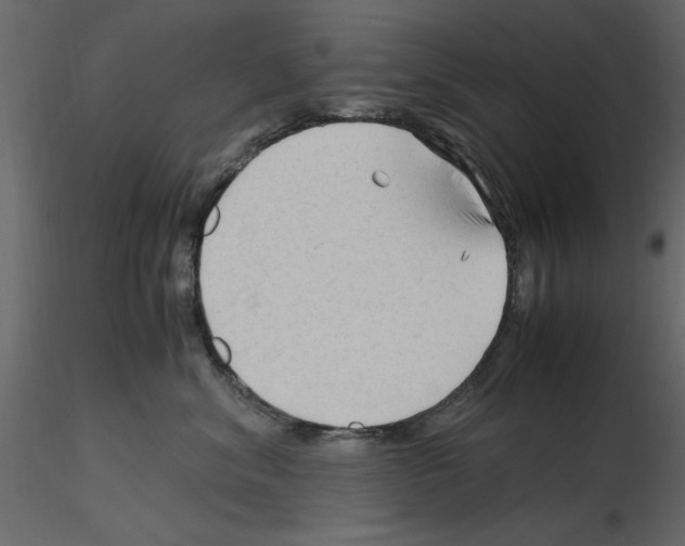 X0000115800620200912241854