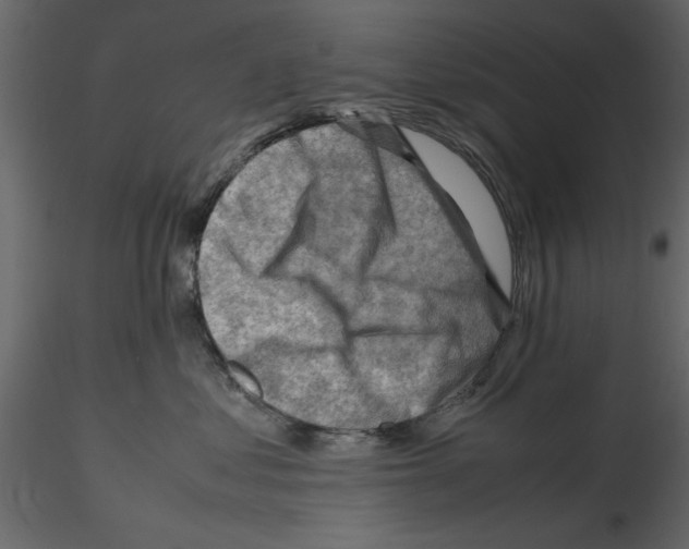 X0000115800621200912241854