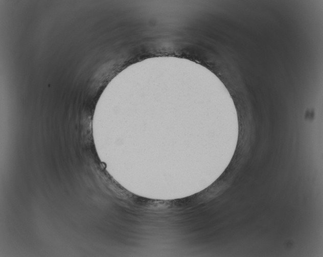 X0000115800624200912241854