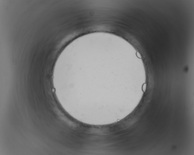 X0000115800625200912241853