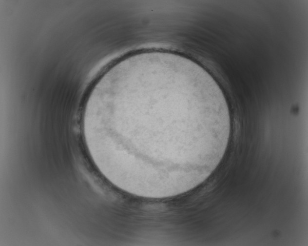 X0000115800628200912241853