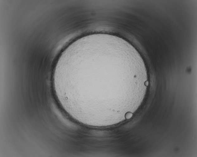 X0000115800629200912241853