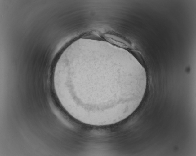 X0000115800630200912241853