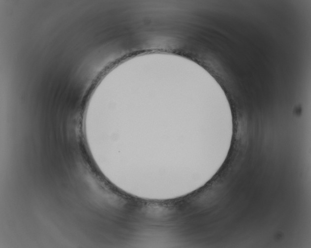 X0000115800632200912241854