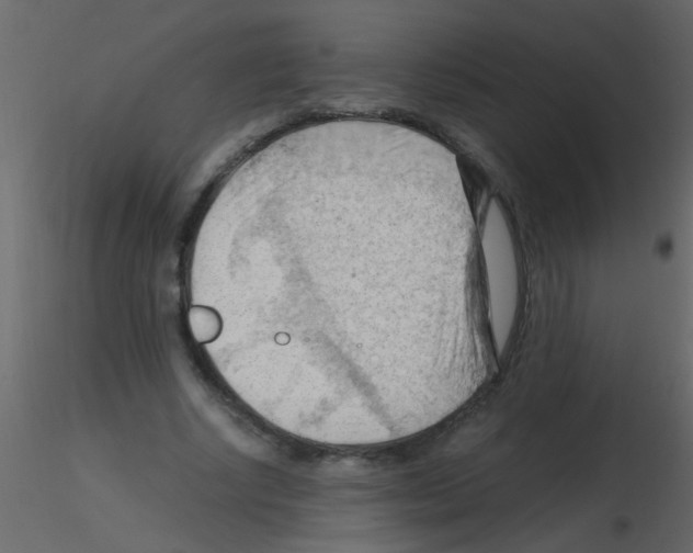 X0000115800634200912241854