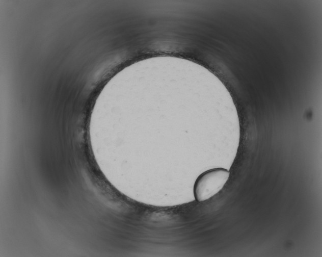 X0000115800635200912241854