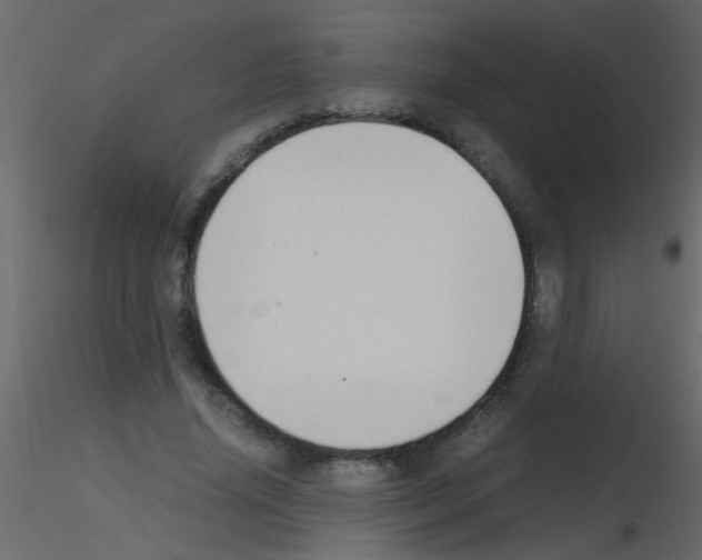 X0000115800636200912241854