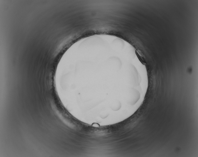 X0000115800638200912241854