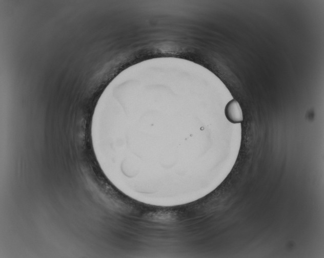 X0000115800639200912241854