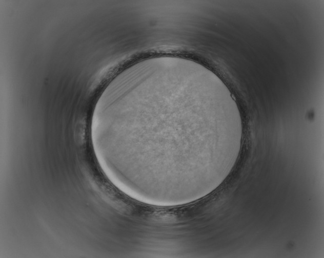 X0000115800640200912241854