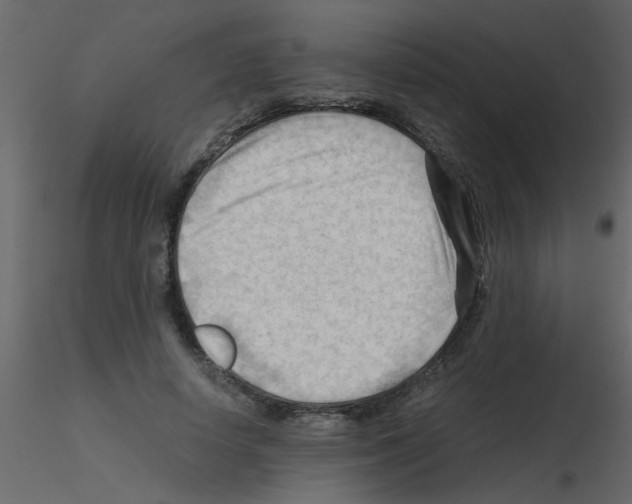 X0000115800642200912241854