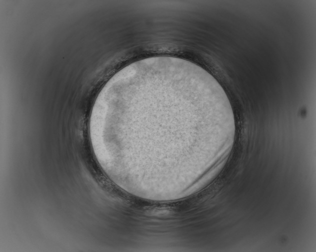 X0000115800643200912241854