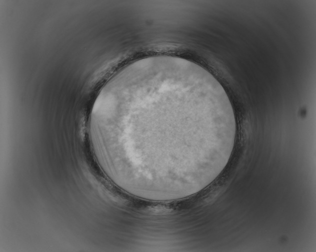 X0000115800644200912241854