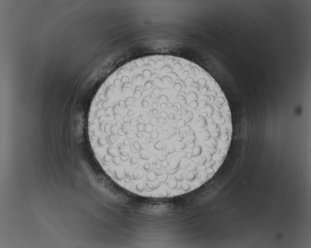 X0000115800646200912241854