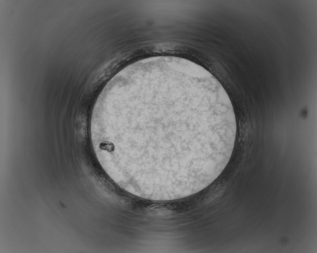 X0000115800648200912241854