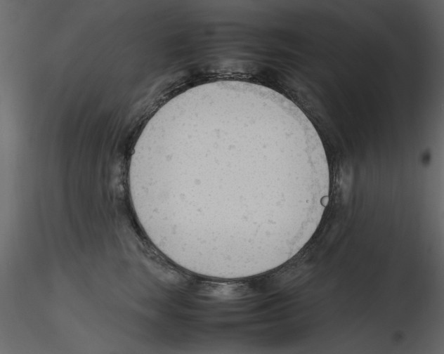 X0000115800663200912241854